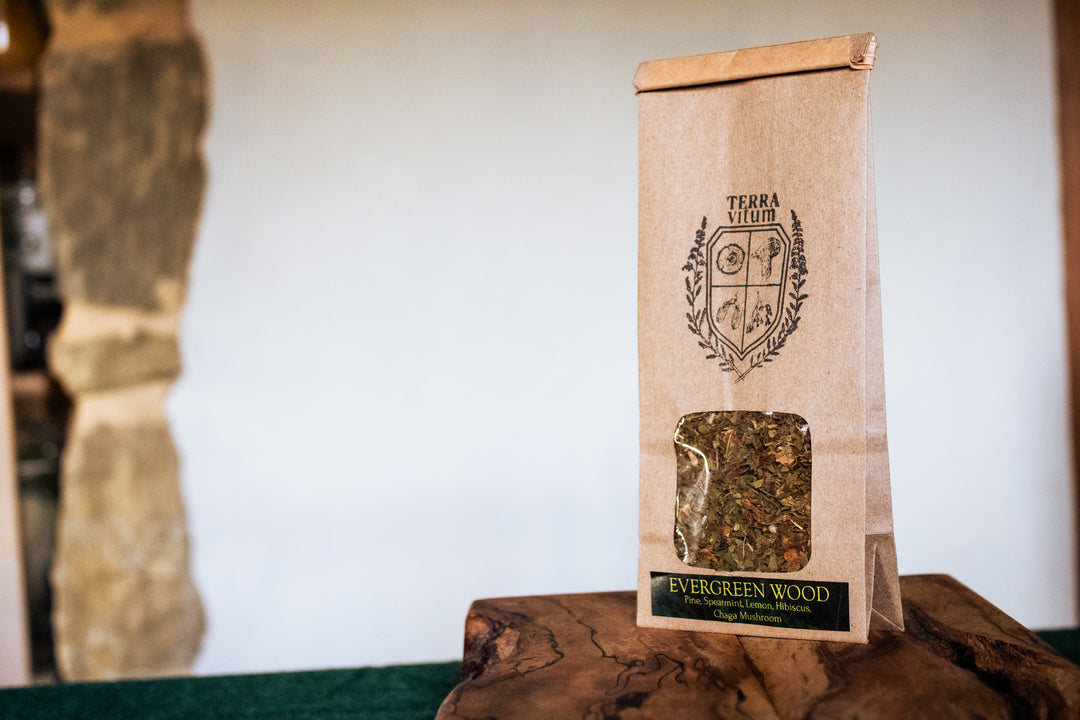 Evergreen Wood Mushroom Tea