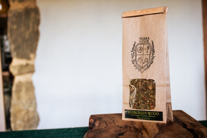 Evergreen Wood Mushroom Tea