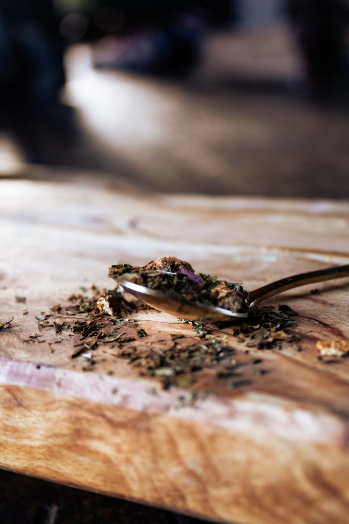 Evergreen Wood Mushroom Tea