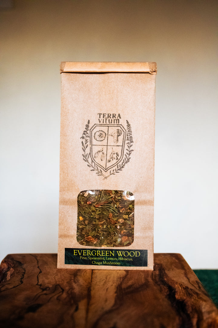 Evergreen Wood Mushroom Tea