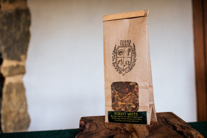 Forests Mists Mushroom Tea
