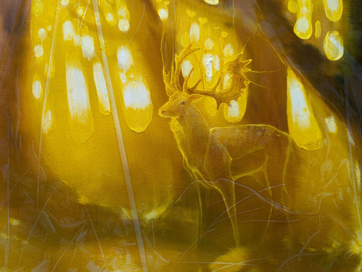 Natures Cathedral