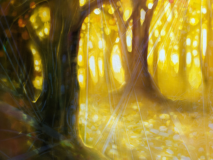 Natures Cathedral