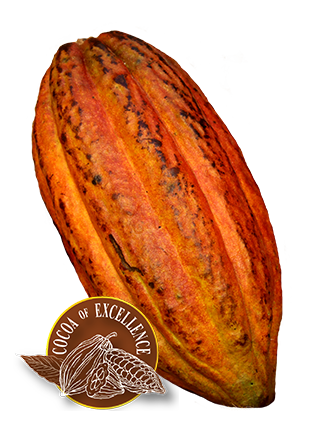 75% Dark Chocolate - Rugoso Cocoa Variety