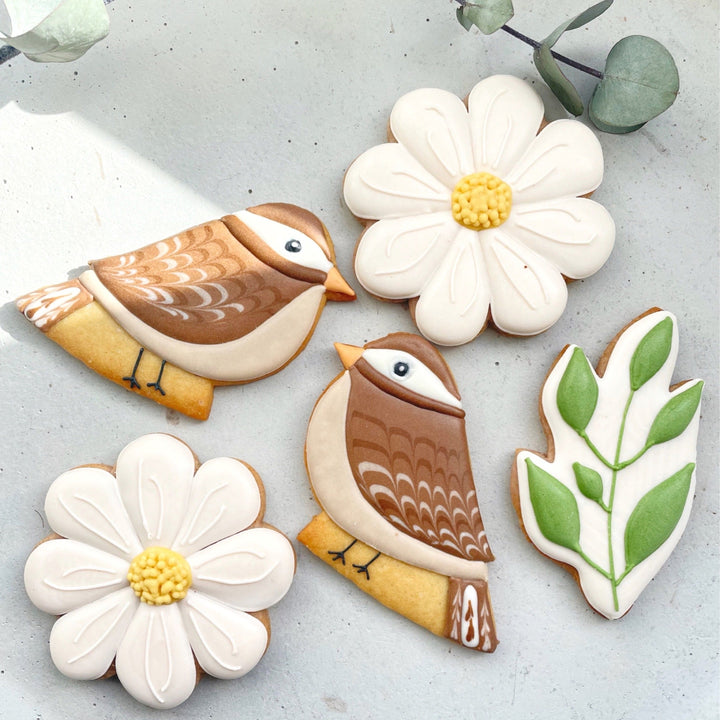 Birds & Spring Blooms Biscuits